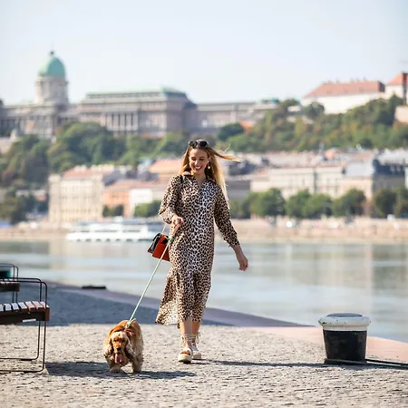 T62 Budapest