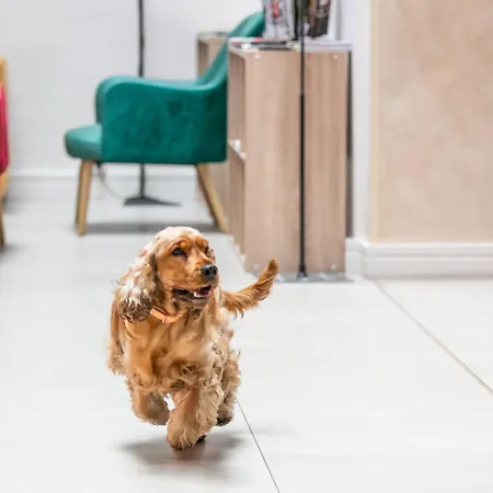 Hotel T62 Budapest